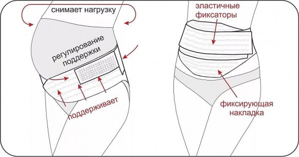 Виды бандажей для беременных и какой лучше, как правильно одевать и носить