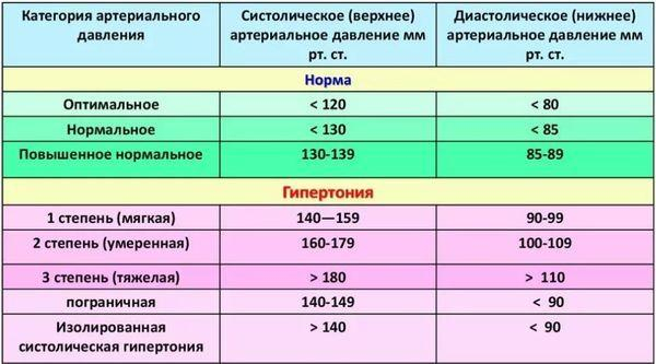 Норма пульса у беременных по триместрам и что делать в случае отклонений